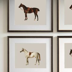 four framed pictures of horses on the wall