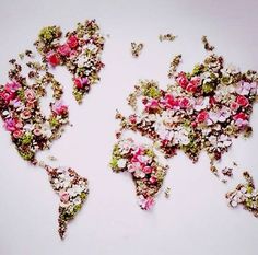 the world map is made up of flowers