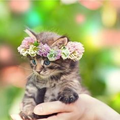 a puzzle with a kitten wearing a flower crown