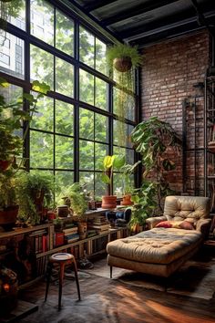 a living room filled with furniture and lots of plants on the windows sills