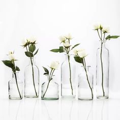 five clear vases with white flowers in them