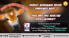 Stop eating meat. #ramzan #ramadan #qiran Eating Quotes, Yogi Tea, Hindi Books, Divine Nature, Believe In God Quotes, Quotes God, Spiritual Quotes God, Friday Feeling