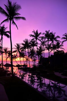 palm trees are silhouetted against the purple sky as the sun sets in the distance