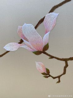 two pink flowers are on a branch with brown stems and green leaves in the foreground