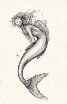 a drawing of a mermaid sitting on the back of a fish with its tail curled up