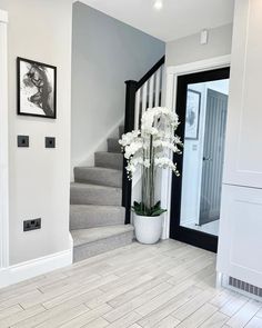 a vase with white flowers sitting on top of a hard wood floor next to stairs