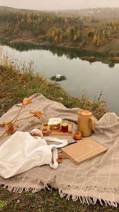 a picnic blanket on the ground next to a body of water with food and drinks
