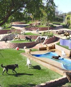 several dogs are playing in the grass near an artificial pool and water slide at a dog park