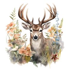 a deer with antlers and flowers on it's head is surrounded by watercolors