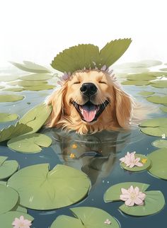 a golden retriever is floating in the water with lily pads on his head and smiling
