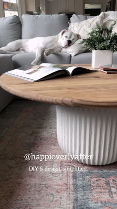 a white dog laying on top of a couch next to a table with books and plants