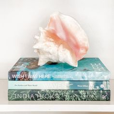 two books are stacked on top of each other with a pink shell resting on them