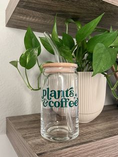 a glass jar with plants in it sitting on a wooden shelf next to a potted plant