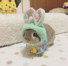 a small rabbit wearing a green and pink bunny ears hat on top of a bed