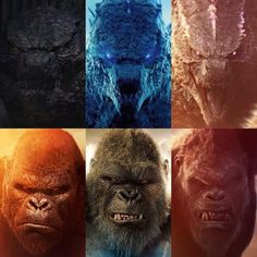 four different images of gorillas with their faces in the same color and size,