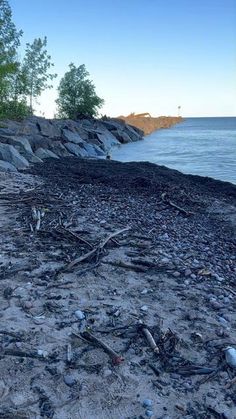 the beach is littered with trash and debris