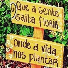 two wooden signs with words on them in front of some bushes and flowers, one says que a gente sabia florir