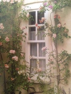 an image of a window with flowers growing on it's sides and vines around the windowsill