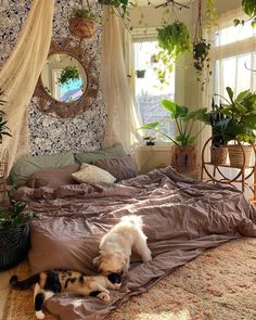 a dog laying on top of a bed next to a mirror and potted plants