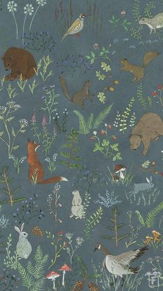 an illustration of various animals and plants on a blue background