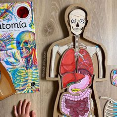 a wooden cutout of a human body next to a children's book and craft kit