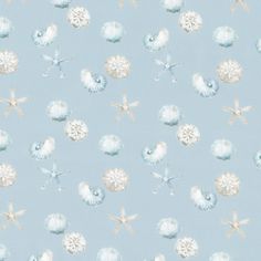 a blue background with white sand dollars and starfish