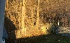 an old stone wall in the middle of a wooded area with no leaves on it