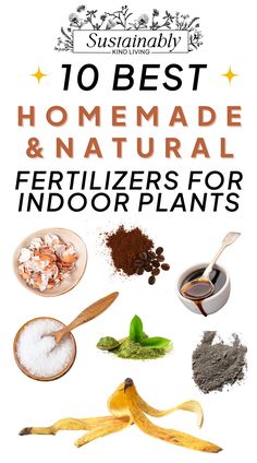 10 best homemade and natural fertilizers for indoor plants