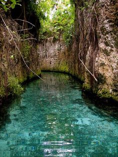 the water is very clear and blue in this narrow riverbed with trees growing on both sides