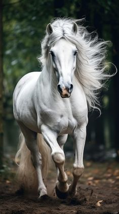 a white horse running in the woods with its hair blowing around it's face