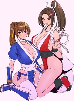 Kasumi Doa, Mai King Of Fighters, Ponytail Ribbon, Brown Eyes Brown Hair, White Choker, Hair Ribbon