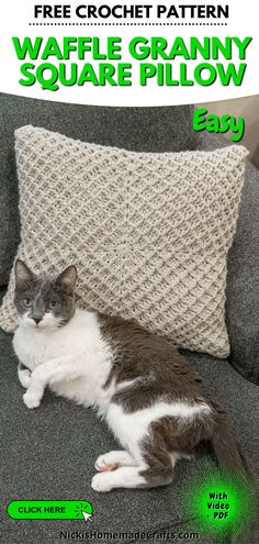 a gray and white cat laying on top of a grey couch next to a pillow