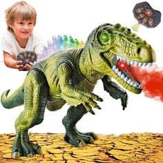 a young boy playing with a toy dinosaur