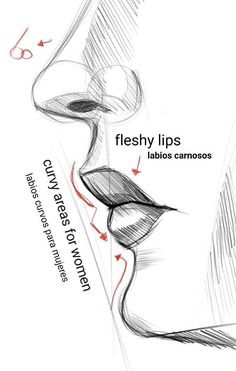 a drawing of a woman's face with the words fleshy lips