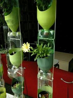 there are many vases with plants in them