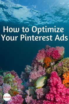 an underwater view with the title how to optimize your pinterest ads