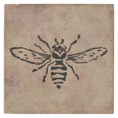 a drawing of a bee is shown on a piece of paper with the words vintage illustration by vintage antique art