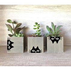 three wooden planters with black cats painted on them and succulents in the background