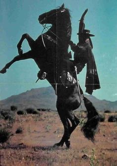 Croquis, The Mask Of Zorro Wallpaper, The Legend Of Zorro, The Mask Of Zorro, Indian Horses, Cowboy Pictures, Beautiful Horses Photography, Oki Doki, Cowboy Aesthetic