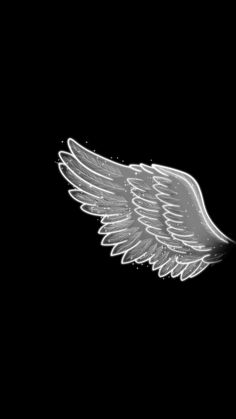 an angel wing on a black background