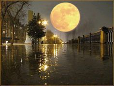 a full moon is seen in the sky above water and trees, with a quote from tom potty on it