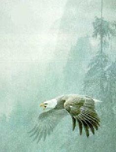 an eagle flying through the air with its wings spread out in front of trees and fog