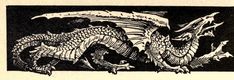 a black and white ink illustration of a serpentine dragon. the drawing looks old. Tumblr, Medevil Dragon, Medieval Dragon Art, Dragon Etching, Medieval Art Illustration, Medieval Creatures, Medieval Dragon, Dragon Illustration, Medieval Art