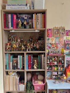 a bookshelf filled with lots of different types of toys and figurines