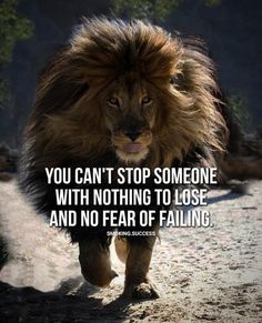 677 Motivational Inspirational Quotes 71 Lion Quotes, Fina Ord, Wolf Quotes, Inspirational Quotes With Images, Warrior Quotes, Badass Quotes, Motivational Quotes For Success, Daily Inspiration Quotes, Wise Quotes