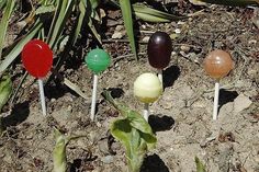 four different colored lollipops sitting in the dirt