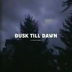 the words dusk till dawn are in front of some trees and dark clouds, with an overcast sky behind them