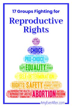 Our reproductive rights, as well as many other fundamental rights, are under attack. But these organizations are fighting these attacks, and they need your donations in order to continue these good works! @AmyOztan Health Care, Fundamental Rights, Reproductive Rights, Womens Rights, Need You, Put Together, Growing Up, Parenting