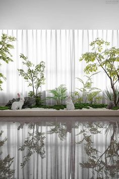 an indoor garden with plants and rocks on the ground next to a pool in front of a curtained window