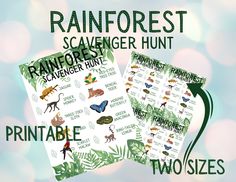 rainforest scavenger hunt printables for kids